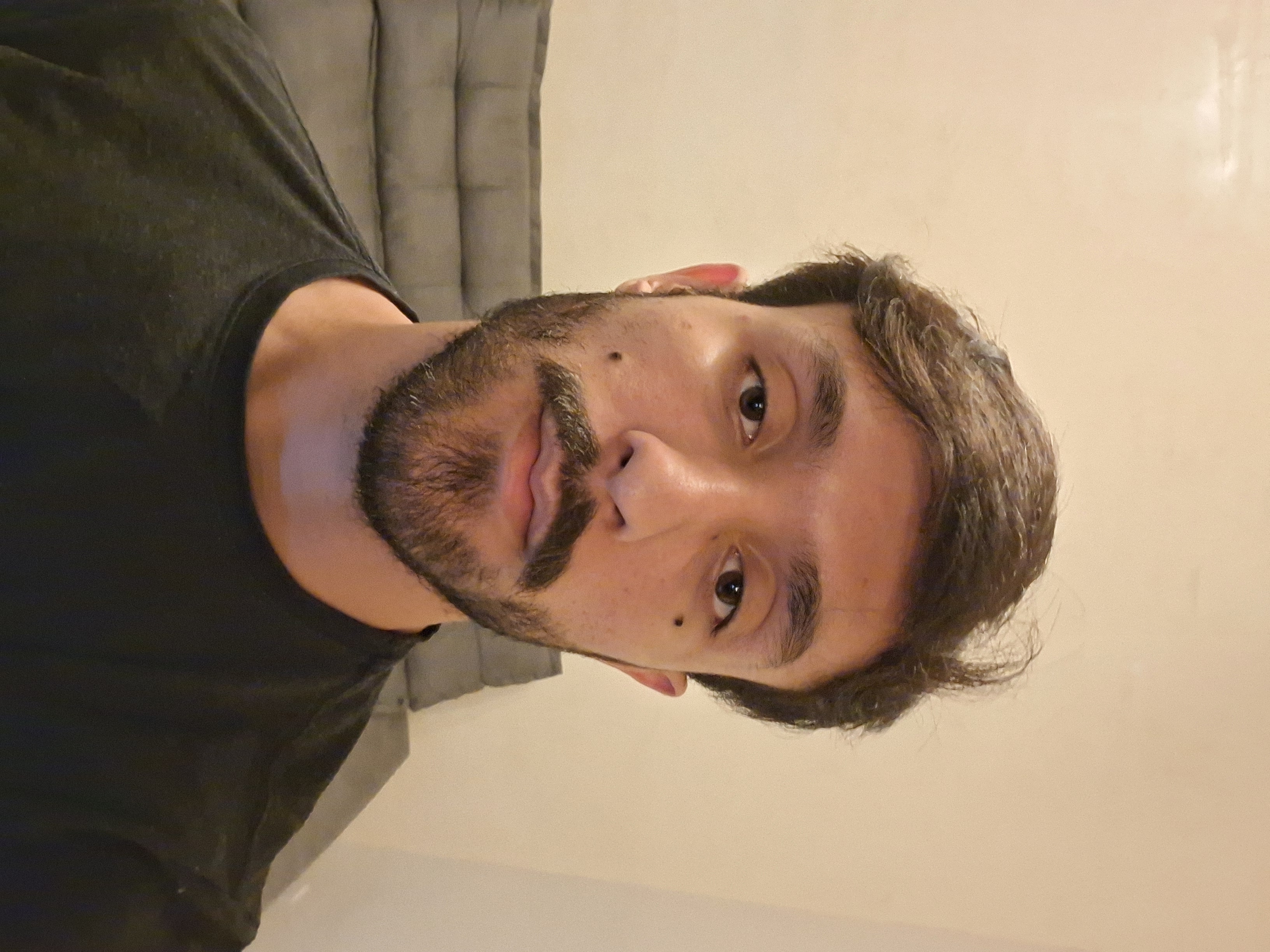 João Pedro Martins Alves da Silva